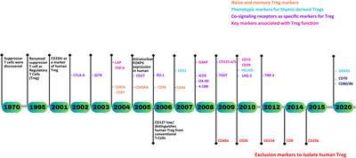 Beyond FOXP3: a 20-year journey unravelling human regulatory T-cell heterogeneity